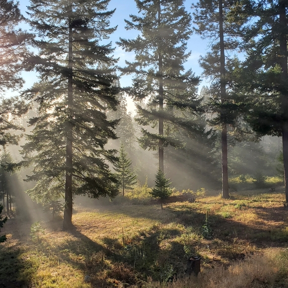 Meet your Posher, Shone - Picture 2 of 3